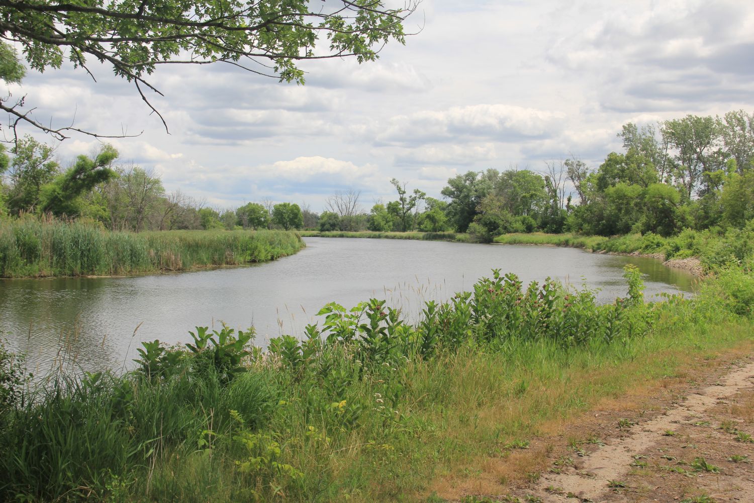 GoldFinch Trail 